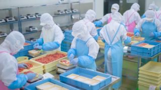 OTAFFのホームページがリニューアルされました